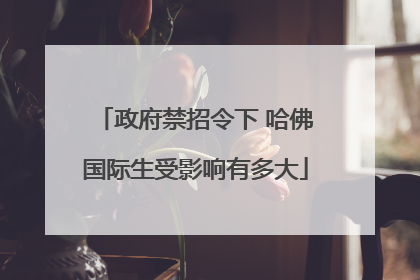 政府禁招令下 哈佛国际生受影响有多大