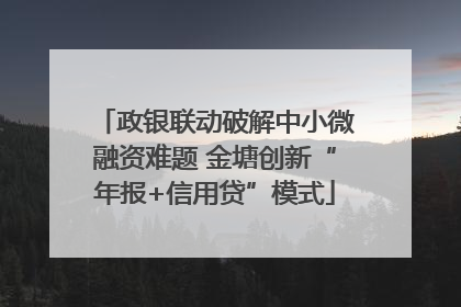 政银联动破解中小微融资难题 金塘创新“年报+信用贷”模式