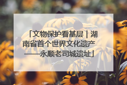 文物保护看基层｜湖南省首个世界文化遗产——永顺老司城遗址