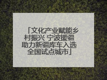 文化产业赋能乡村振兴 宁波援疆助力新疆库车入选全国试点城市