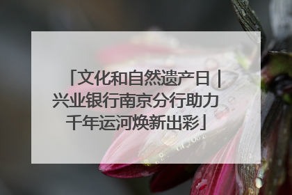 文化和自然遗产日｜兴业银行南京分行助力千年运河焕新出彩