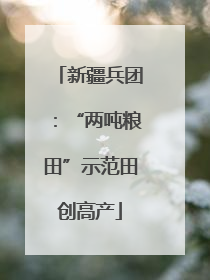 新疆兵团：“两吨粮田”示范田创高产