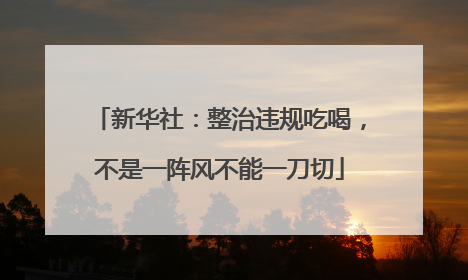 新华社：整治违规吃喝，不是一阵风不能一刀切