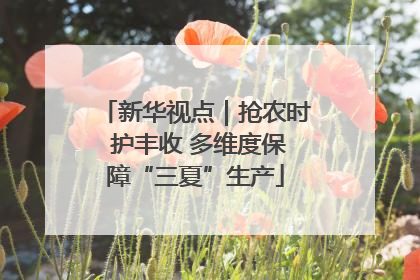 新华视点｜抢农时 护丰收 多维度保障“三夏”生产