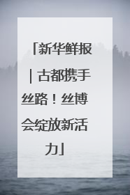 新华鲜报｜古都携手丝路！丝博会绽放新活力