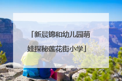 新晨锦和幼儿园萌娃探秘莲花街小学