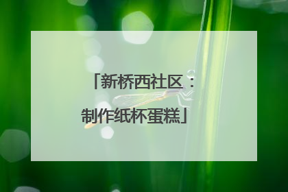 新桥西社区：制作纸杯蛋糕