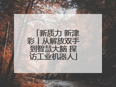 新质力 新津彩丨从解放双手到智慧大脑 探访工业机器人