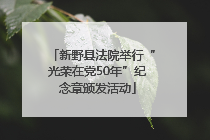 新野县法院举行“光荣在党50年”纪念章颁发活动