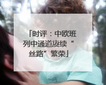 时评：中欧班列中通道赓续“丝路”繁荣