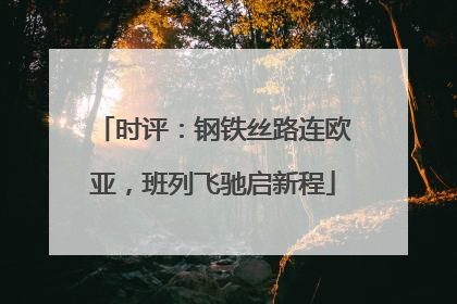 时评：钢铁丝路连欧亚，班列飞驰启新程