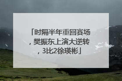 时隔半年重回赛场，樊振东上演大逆转，3比2徐瑛彬