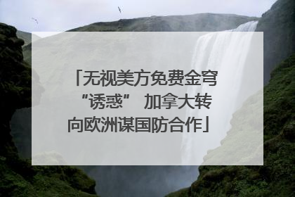 无视美方免费金穹“诱惑” 加拿大转向欧洲谋国防合作
