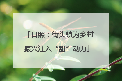 日照：街头镇为乡村振兴注入“甜”动力