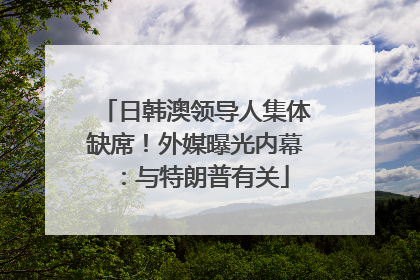 日韩澳领导人集体缺席！外媒曝光内幕：与特朗普有关