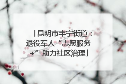 昆明市丰宁街道：退役军人“志愿服务+”助力社区治理