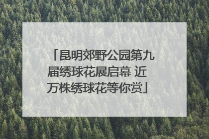 昆明郊野公园第九届绣球花展启幕 近万株绣球花等你赏