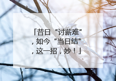 昔日“讨薪难”，如今“当日结”，这一招，妙！
