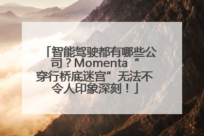智能驾驶都有哪些公司？Momenta“穿行桥底迷宫”无法不令人印象深刻！