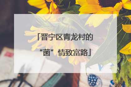 晋宁区青龙村的“菌”情致富路