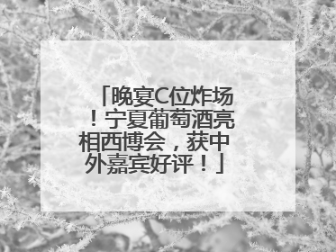 晚宴C位炸场！宁夏葡萄酒亮相西博会，获中外嘉宾好评！