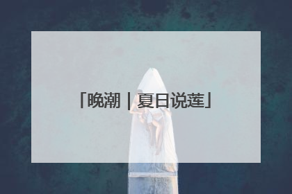 晚潮｜夏日说莲