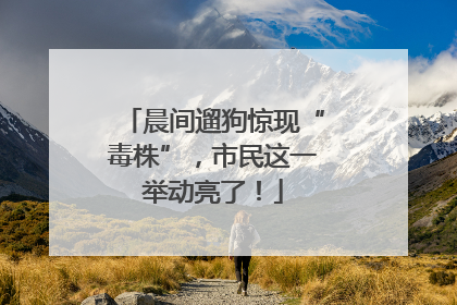 晨间遛狗惊现“毒株”，市民这一举动亮了！