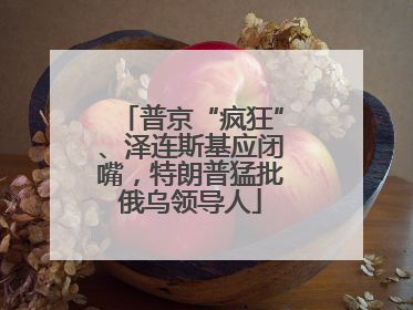 普京“疯狂”、泽连斯基应闭嘴，特朗普猛批俄乌领导人