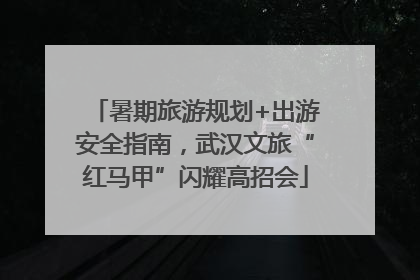 暑期旅游规划+出游安全指南，武汉文旅“红马甲”闪耀高招会