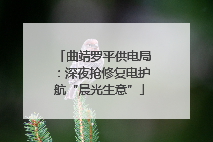 曲靖罗平供电局：深夜抢修复电护航“晨光生意”