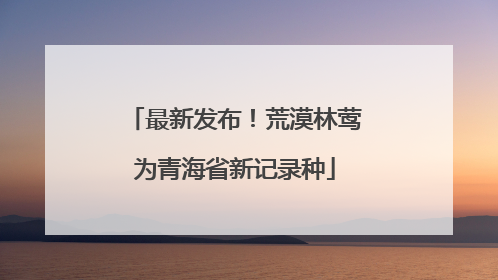 最新发布！荒漠林莺为青海省新记录种