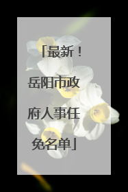 最新！岳阳市政府人事任免名单