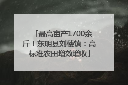 最高亩产1700余斤！东明县刘楼镇：高标准农田增效增收