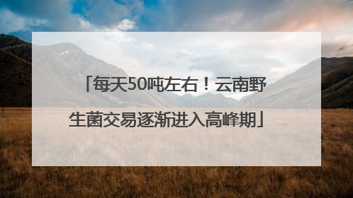 每天50吨左右！云南野生菌交易逐渐进入高峰期