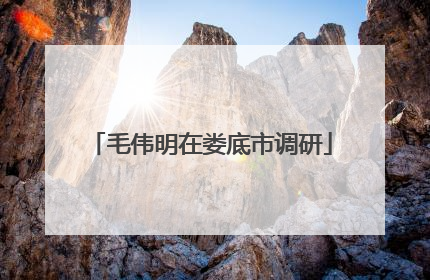 毛伟明在娄底市调研