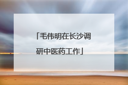 毛伟明在长沙调研中医药工作