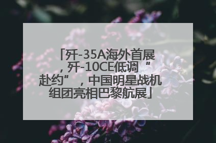 歼-35A海外首展，歼-10CE低调“赴约”，中国明星战机组团亮相巴黎航展