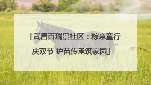 武昌百瑞景社区：粽意童行庆双节 护苗传承筑家园