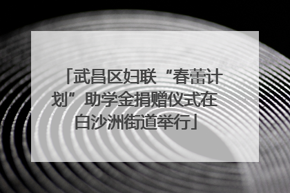 武昌区妇联“春蕾计划”助学金捐赠仪式在白沙洲街道举行