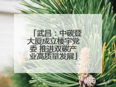 武昌：中碳登大厦成立楼宇党委 推进双碳产业高质量发展
