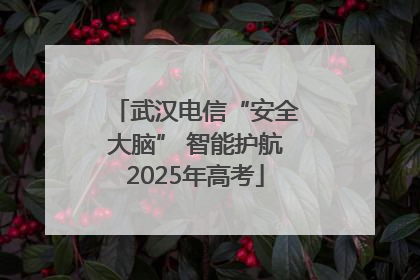 武汉电信“安全大脑” 智能护航2025年高考