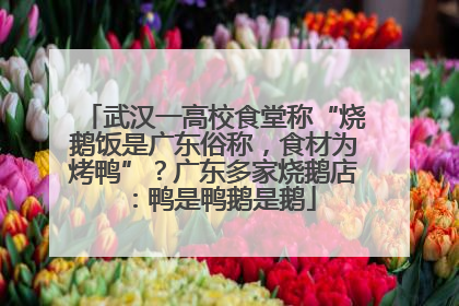 武汉一高校食堂称“烧鹅饭是广东俗称，食材为烤鸭”？广东多家烧鹅店：鸭是鸭鹅是鹅