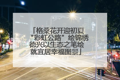 格桑花开迎初夏 “彩虹公路”绘锦绣 德兴以生态之笔绘就宜居幸福图景