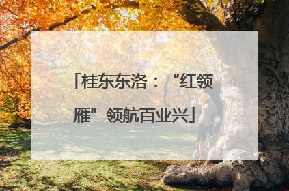 桂东东洛：“红领雁”领航百业兴