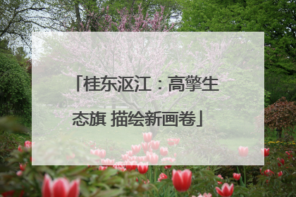 桂东沤江：高擎生态旗 描绘新画卷