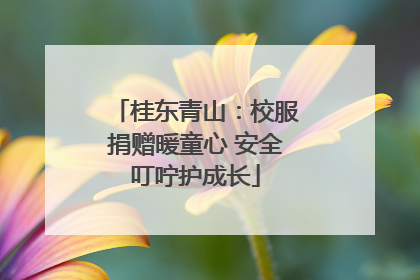 桂东青山：校服捐赠暖童心 安全叮咛护成长