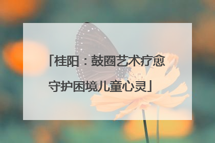 桂阳：鼓圈艺术疗愈守护困境儿童心灵