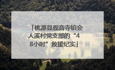 桃源县观音寺镇会人溪村党支部的“48小时”救援纪实