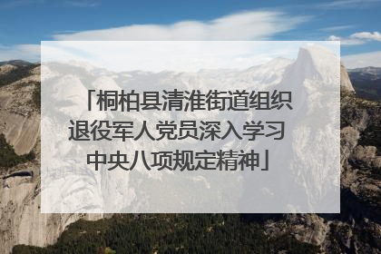 桐柏县清淮街道组织退役军人党员深入学习中央八项规定精神