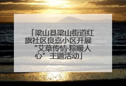梁山县梁山街道红旗社区良嘉小区开展“艾草传情·粽暖人心”主题活动